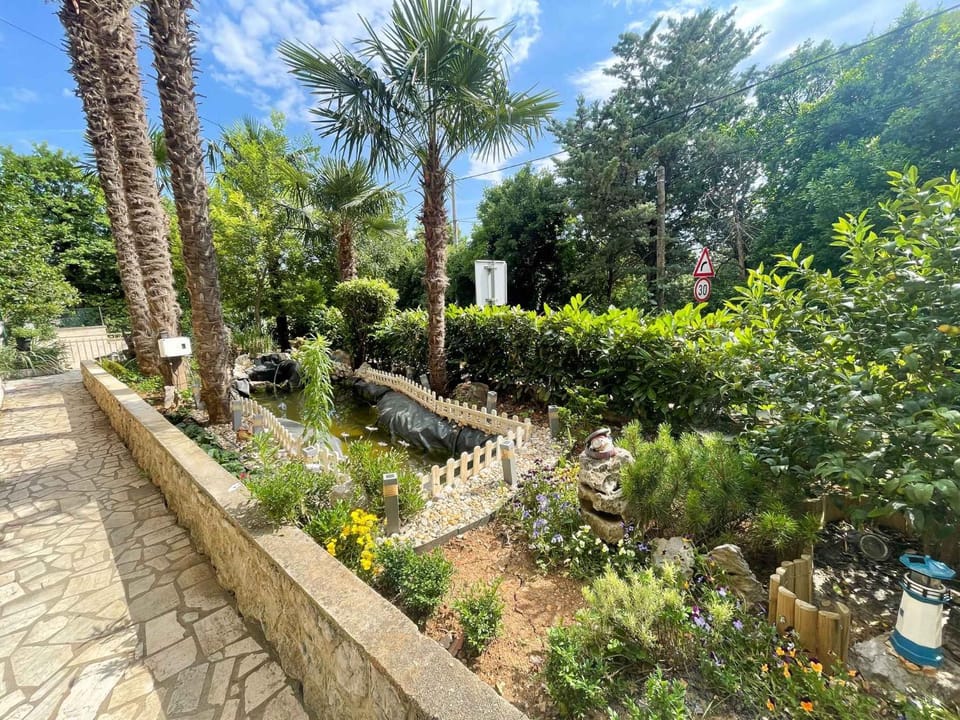 Summer, Garden