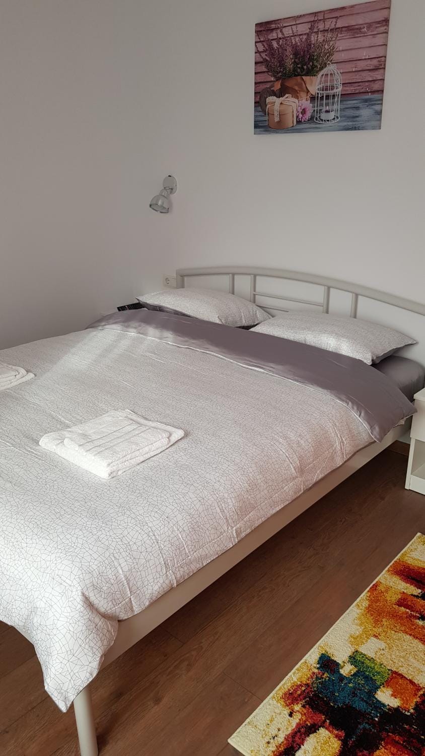Apartament 4 Budiu Apartment in Romania