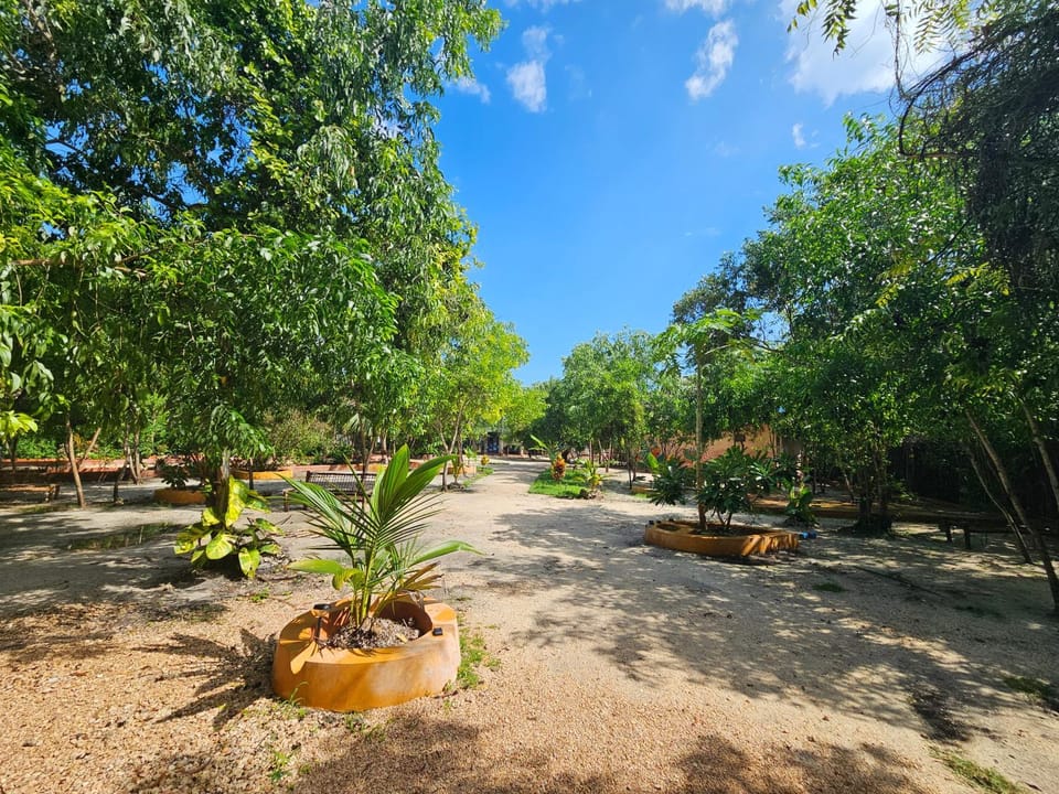 Garden view