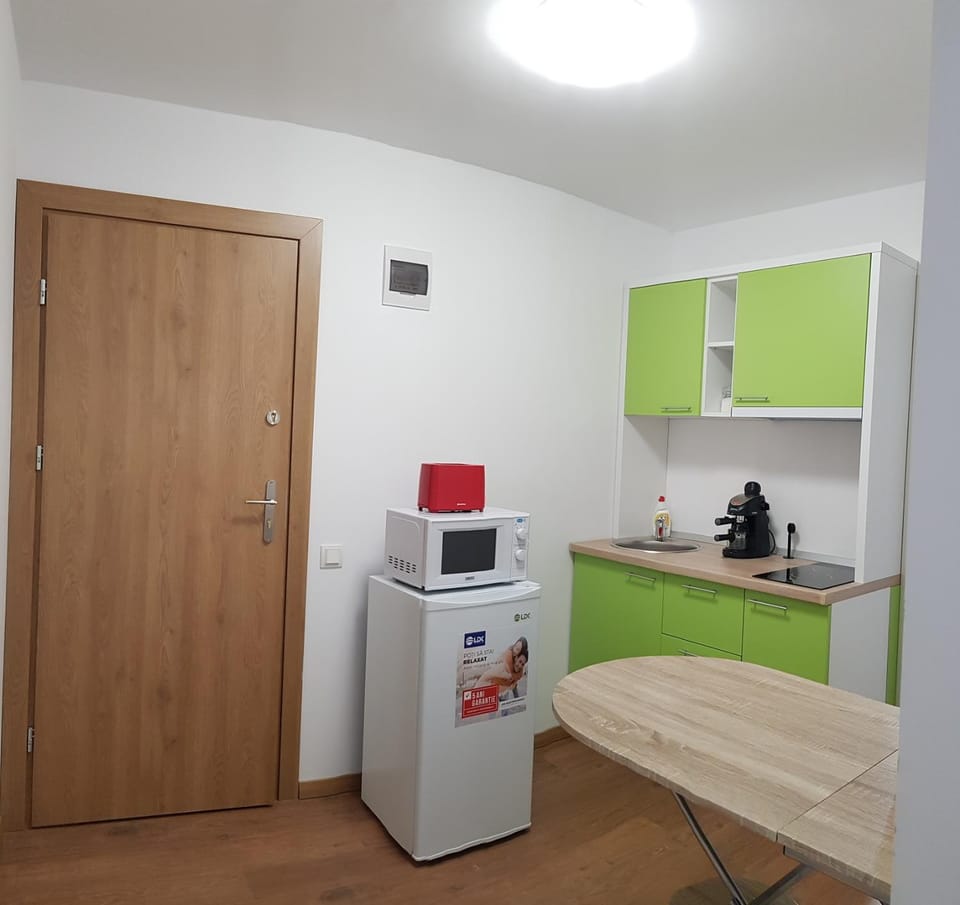 Apartament 8 Budiu Apartment in Romania
