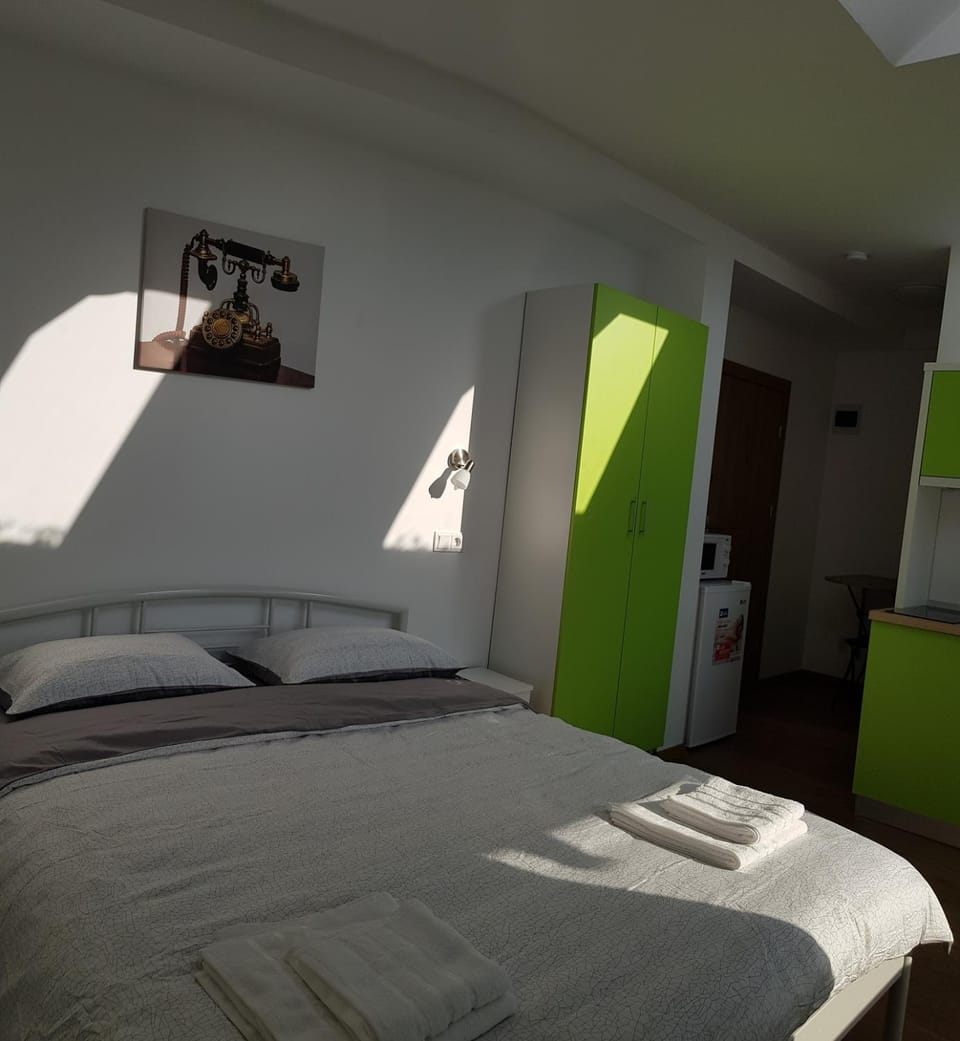 Apartament 9 Budiu Apartment in Romania