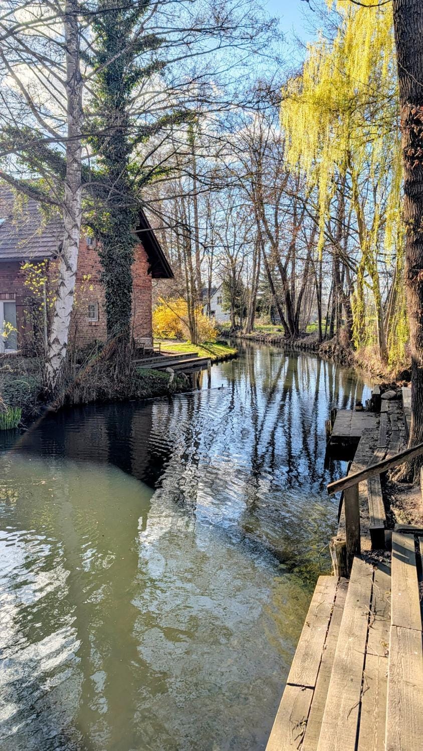 Natural landscape, River view