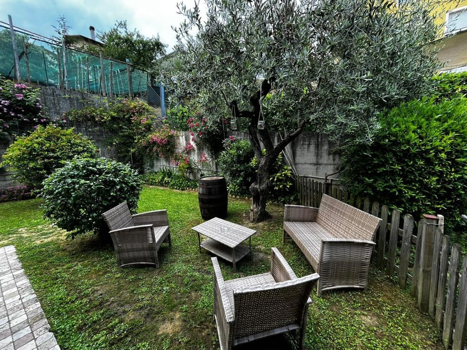 Spring, Garden, Seating area, Garden view