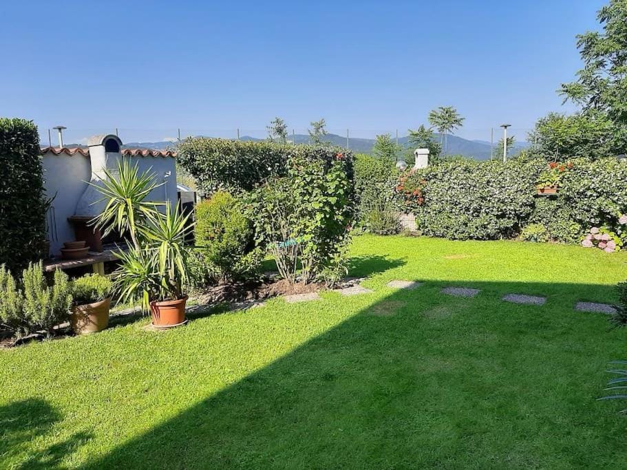 Natural landscape, Garden view, Mountain view