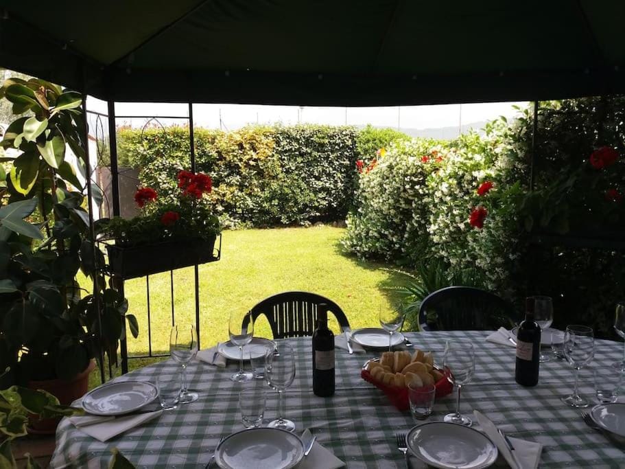 Patio, Garden view