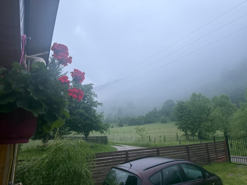 Mountain view