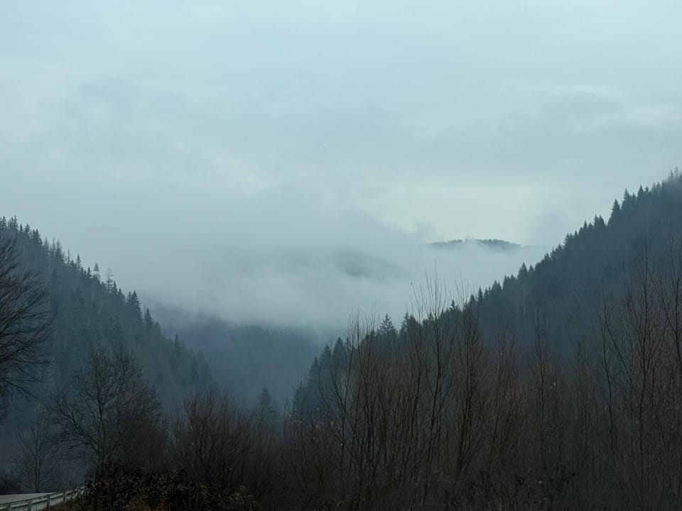 Mountain view