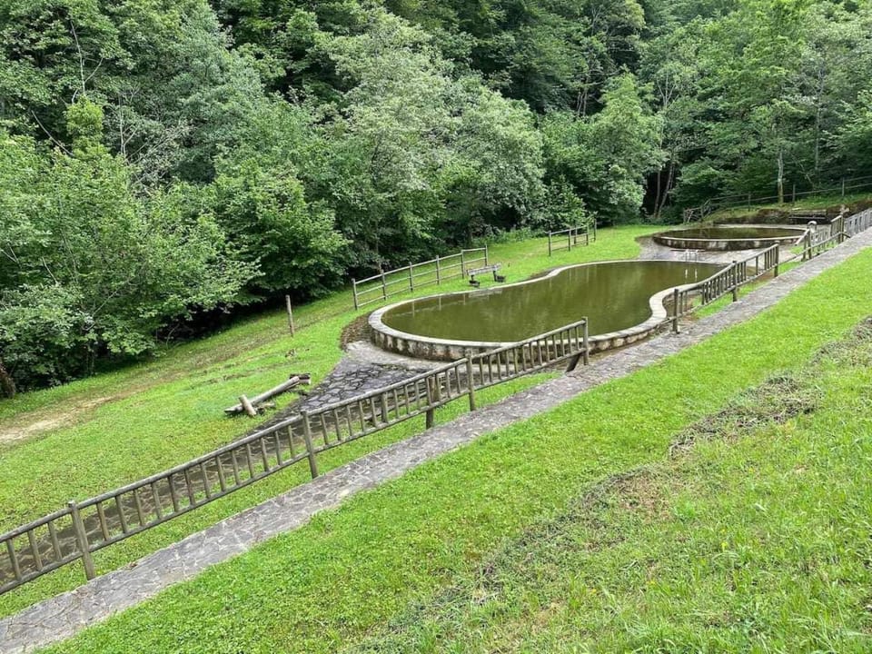 Nearby landmark, Pool view, Swimming pool