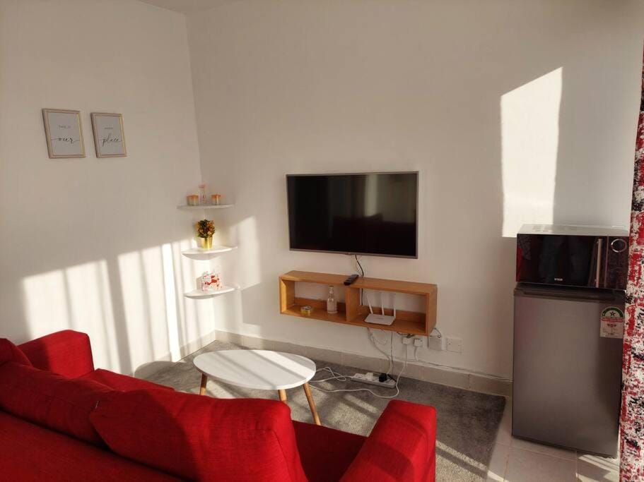 TV and multimedia