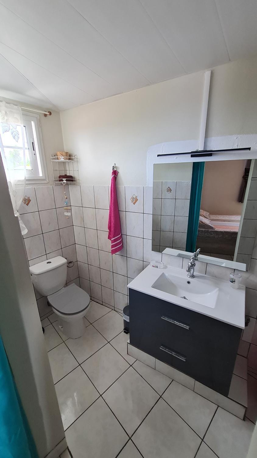 Le petit nid vanillé Apartment in La Trinité