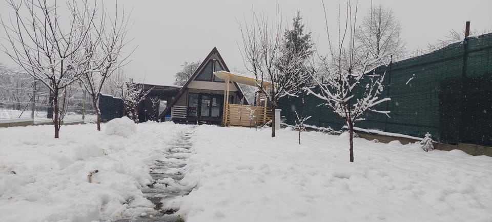 Cabana La Bica House in Prahova, Romania
