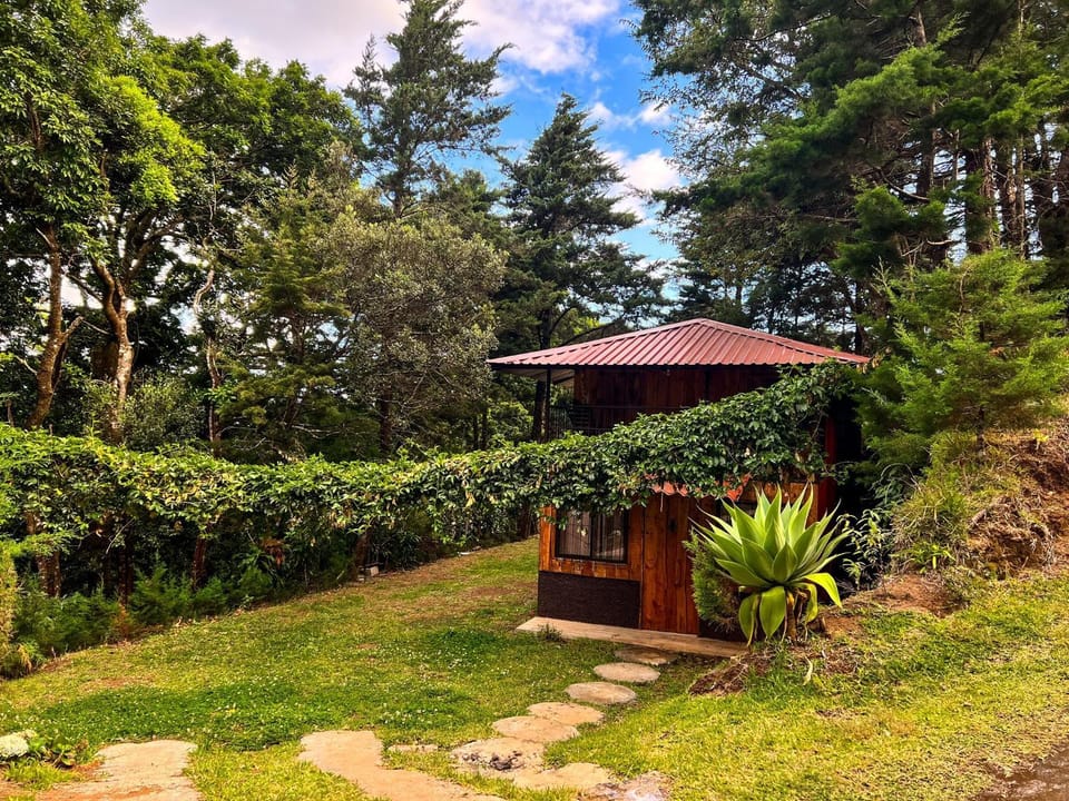 Cabaña Piqueza! Chalet in San José Province