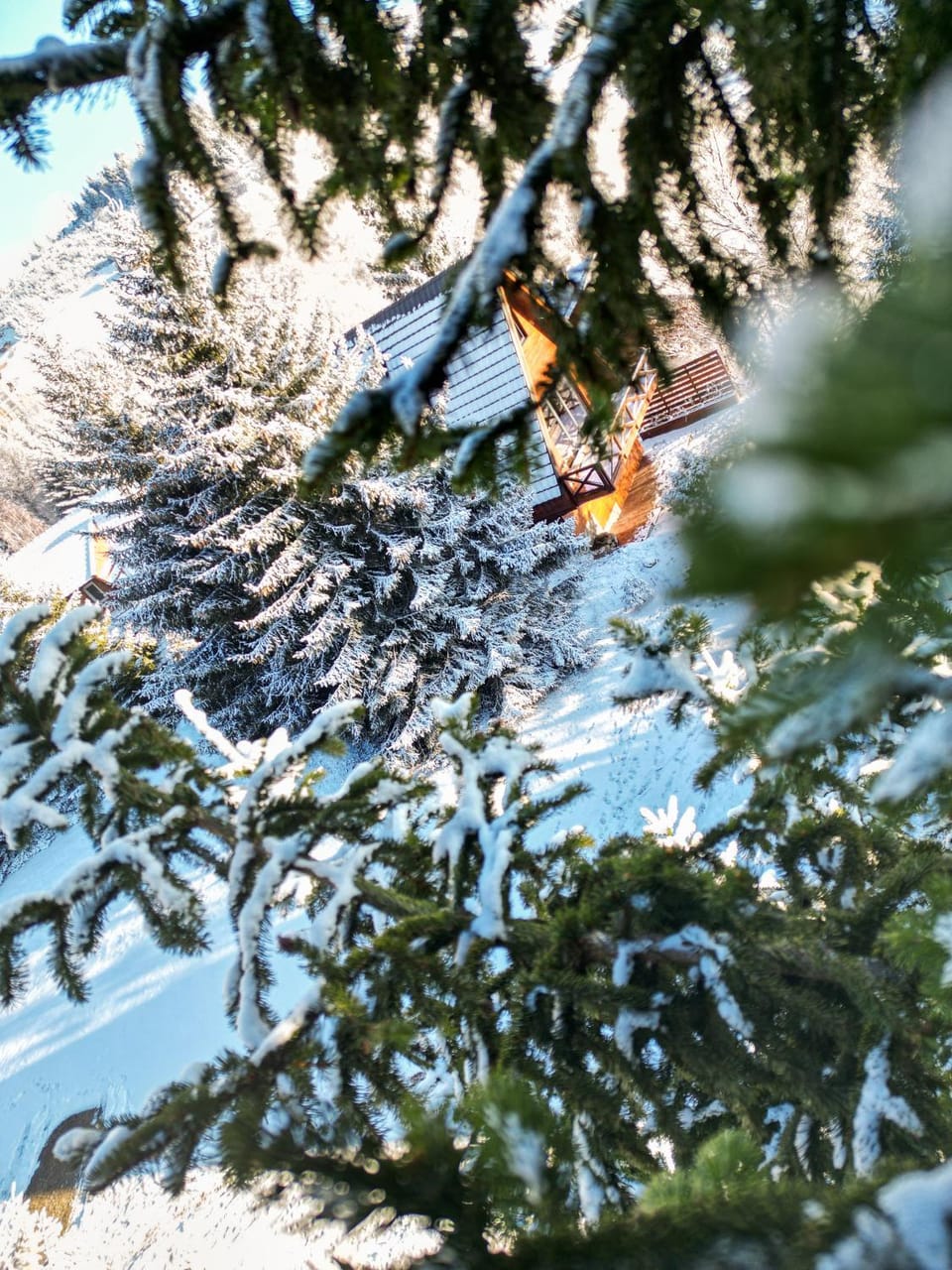 Winter