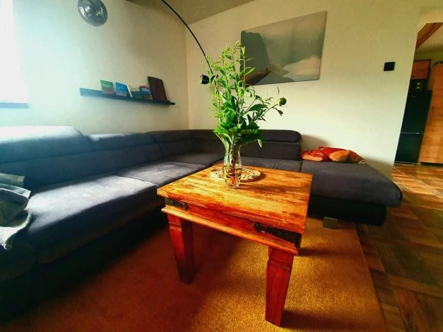 Communal lounge/ TV room, Living room, Seating area, Bedroom