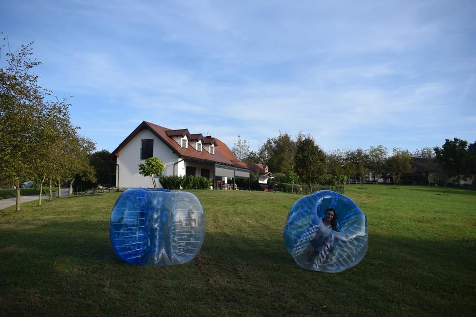 Day, Garden, Garden view, Entertainment