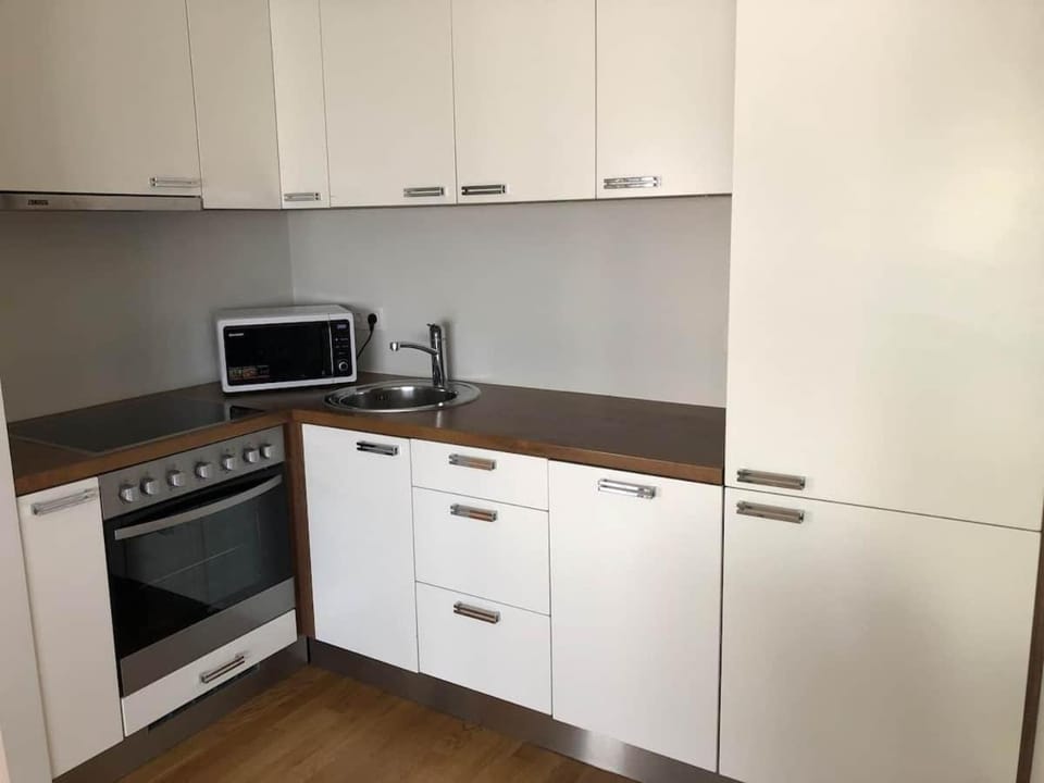 Kitchen or kitchenette, dishwasher, minibar, pet friendly, stove