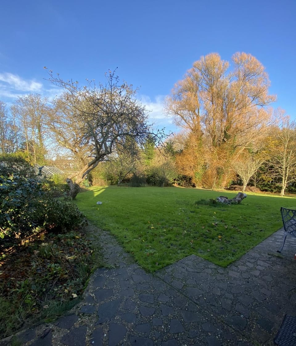 Garden, Garden, Garden view, Garden view