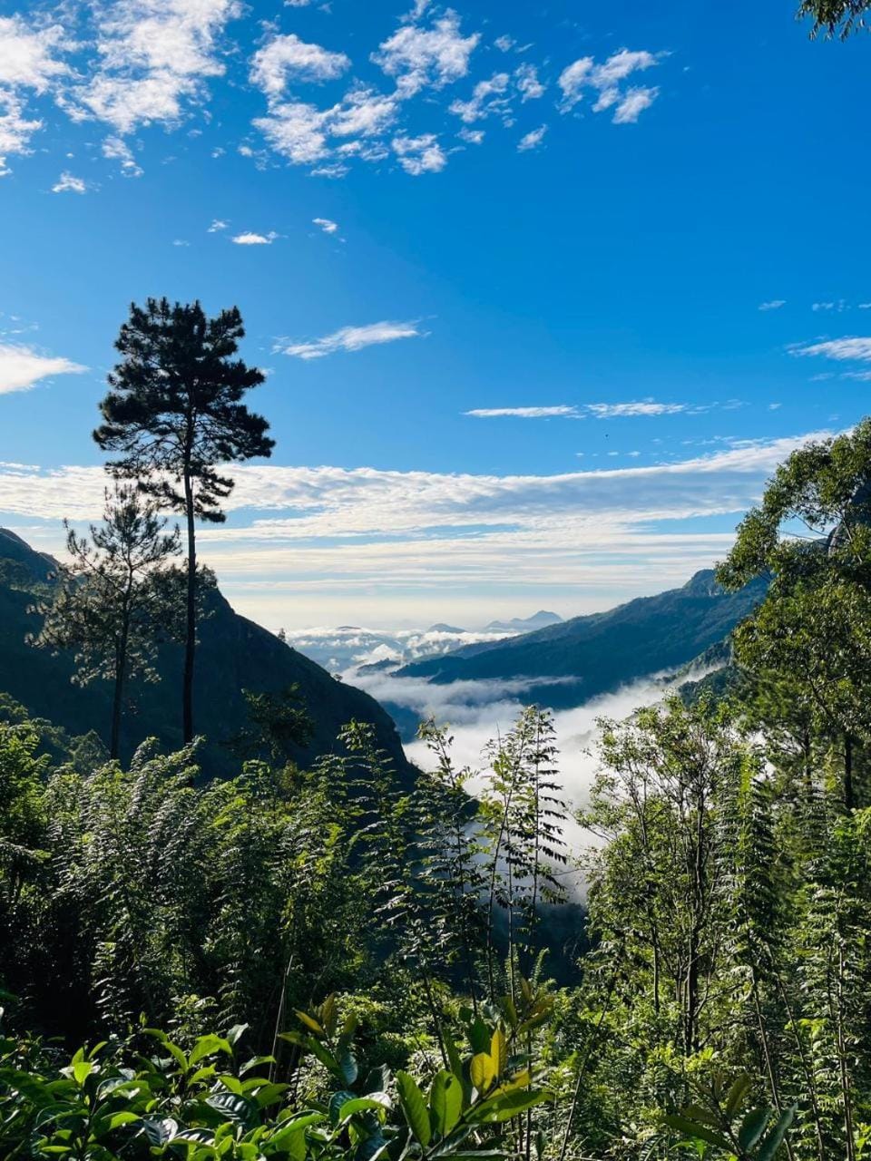 Day, Natural landscape, Mountain view