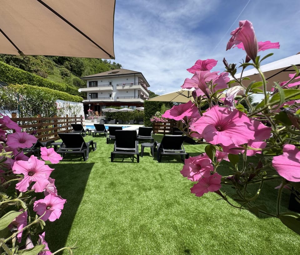Property building, Garden, Garden, Garden view, Swimming pool