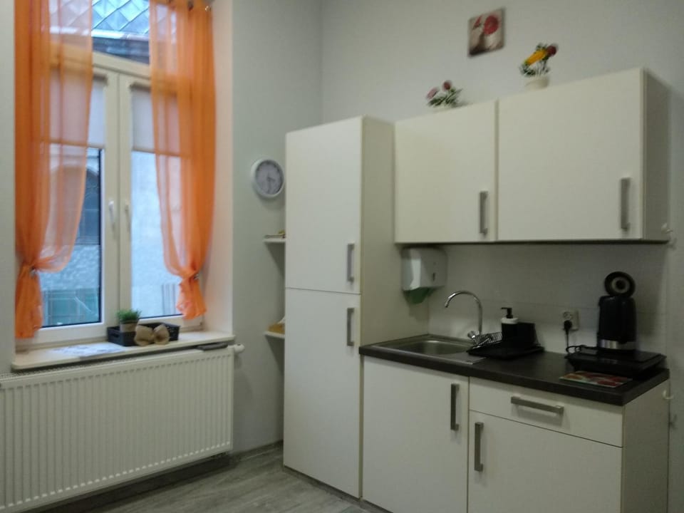 Studio w sercu miasta Apartment in Lviv Oblast