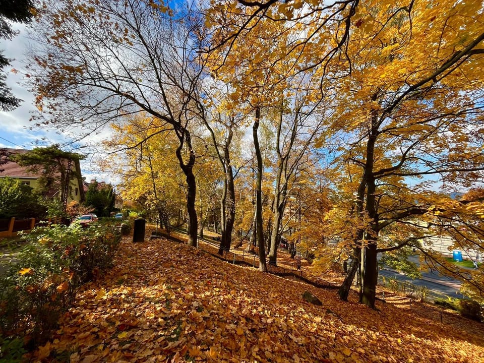 Day, Natural landscape
