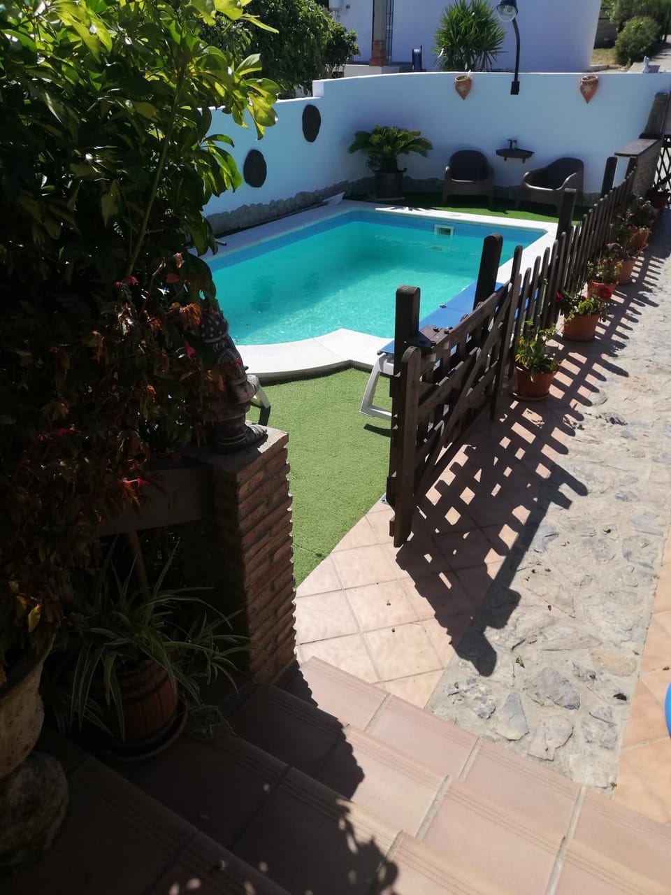 Pool view, Swimming pool