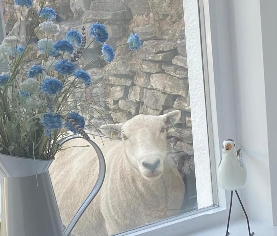 Great Orme Cottage, Llandudno - The Best of Rural & Coast! House in Llandudno