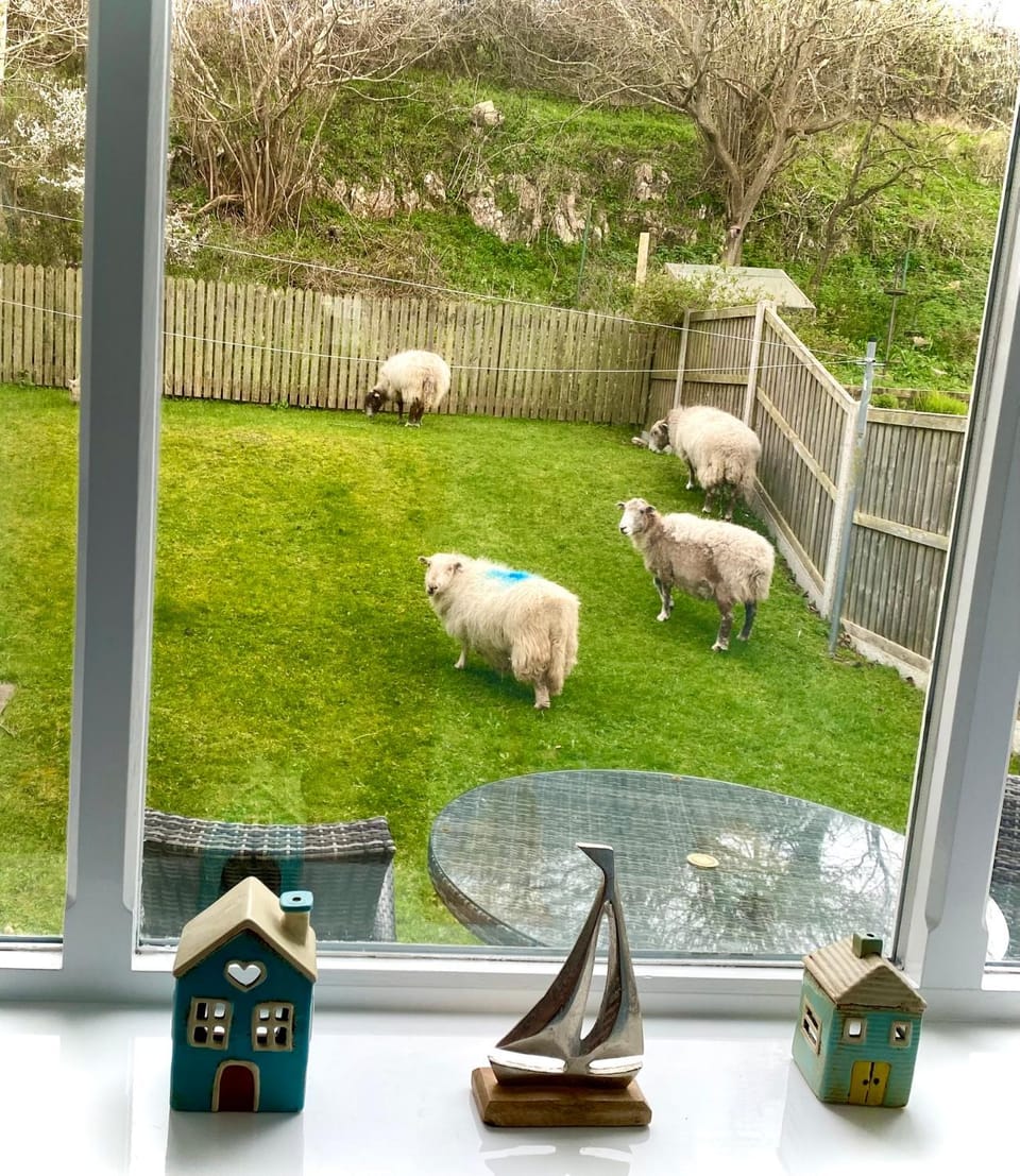 Great Orme Cottage, Llandudno - The Best of Rural & Coast! House in Llandudno