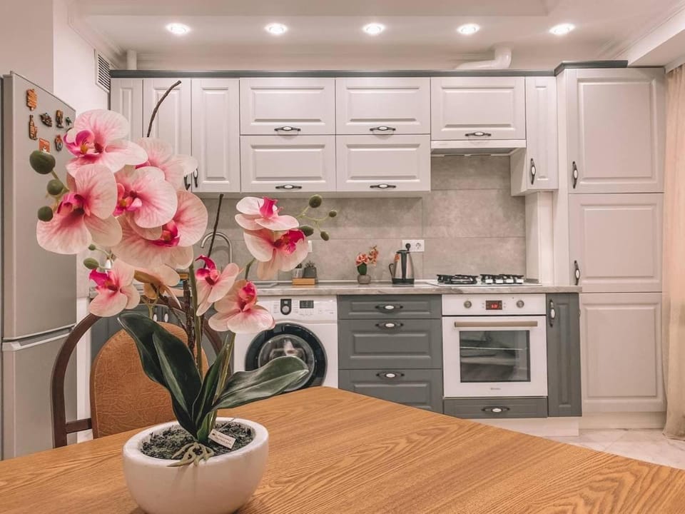 Kitchen or kitchenette, pet friendly, stove, washing machine