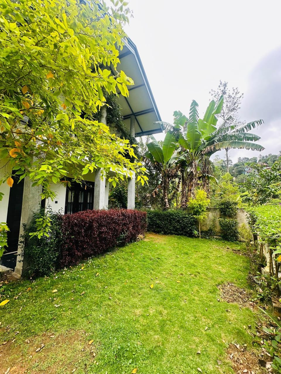 Property building, Natural landscape, Garden, Garden view