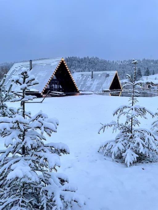 Natural landscape, Winter
