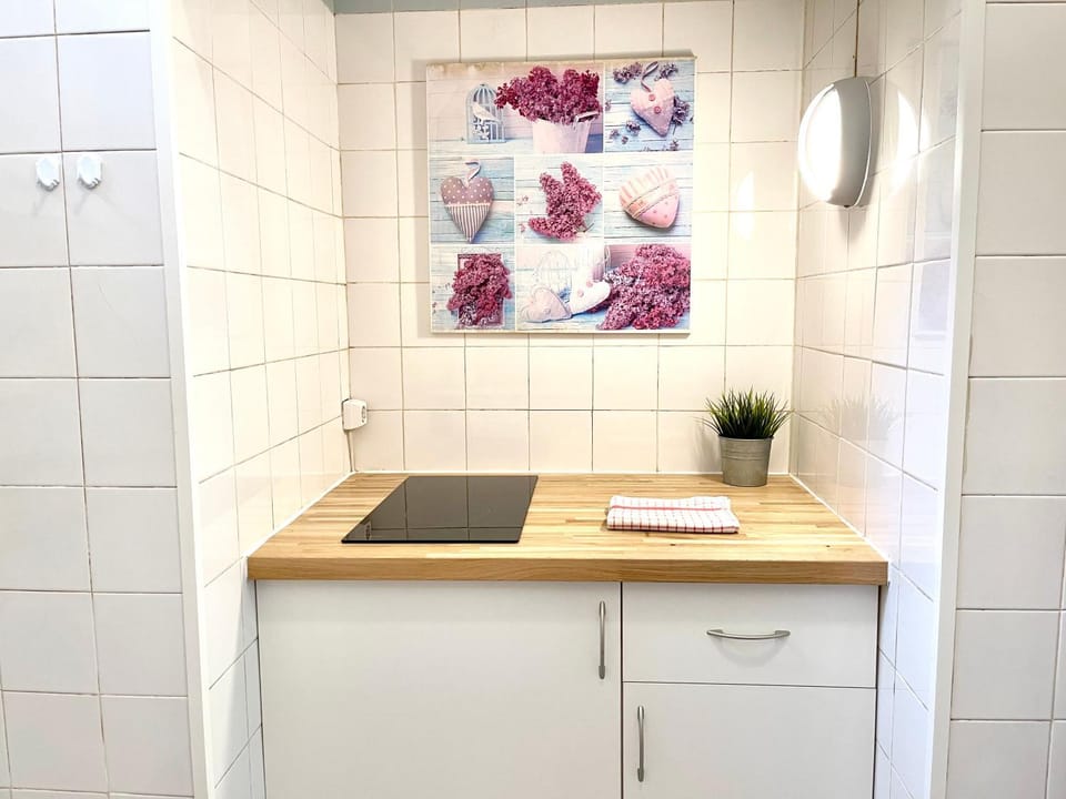 Kitchen or kitchenette, kitchen