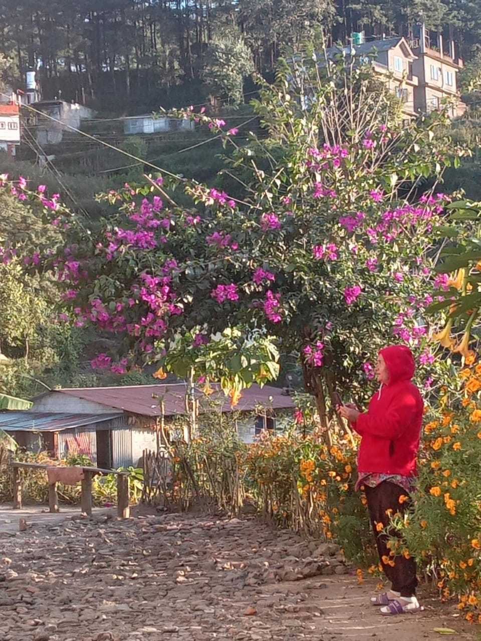 Nagarkot Nayagaun Homestay Vacation rental in Bagmati Province, Nepal