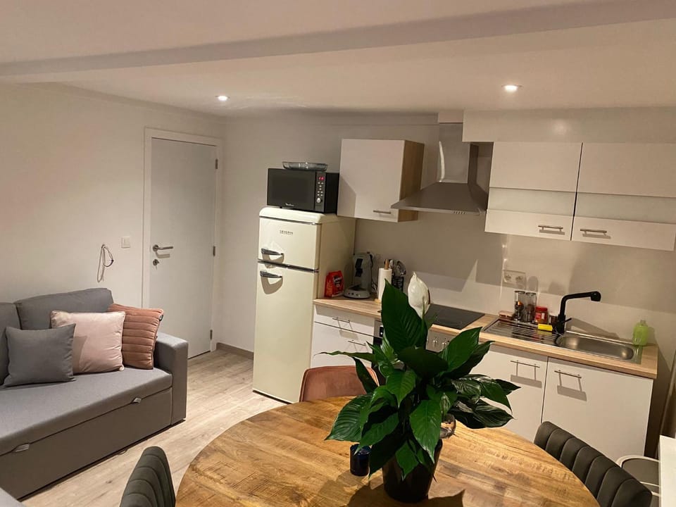 Kitchen or kitchenette, Seating area, Dining area