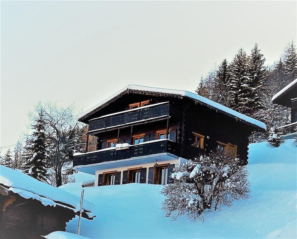LA TZOUMAZ - VERBIER 4 Vallées - Grand Chalet 5 chambres, Ski IN/OUT, Sauna Chalet in Riddes