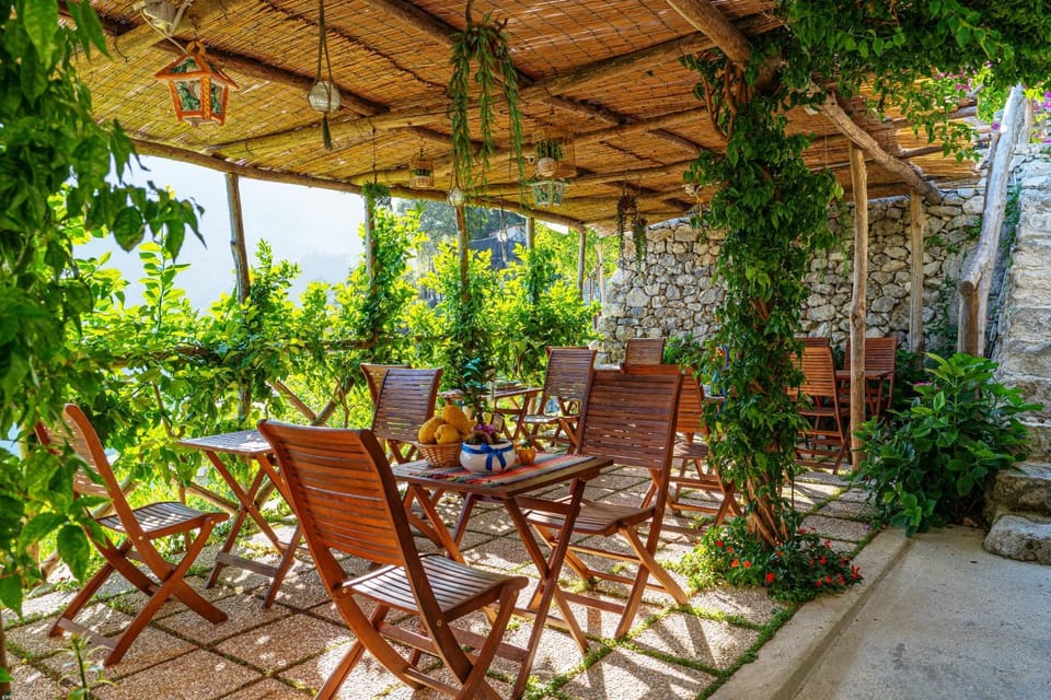 Patio, Day, Garden, Garden view