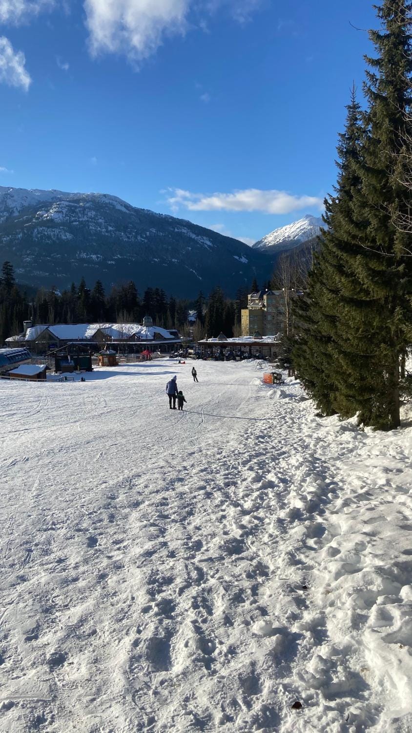 Winter, Ski School, Ski School, Skiing, Skiing, Mountain view