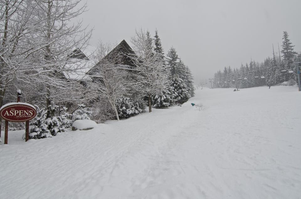 Ski School, Ski School, Skiing, Mountain view