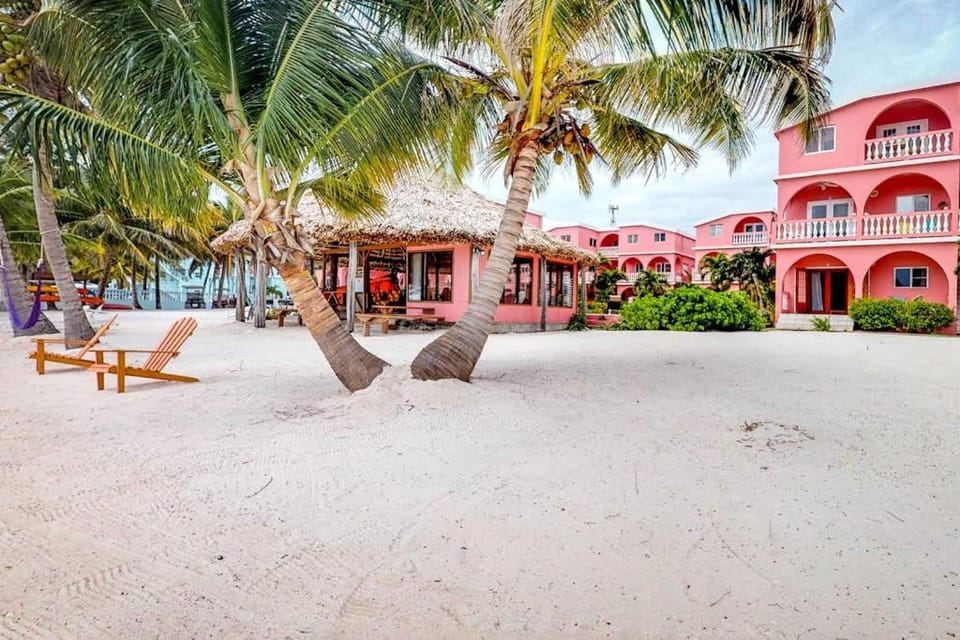 Saponaria 21-22 at Caribe Island Gold Standard Certified House in Belize District