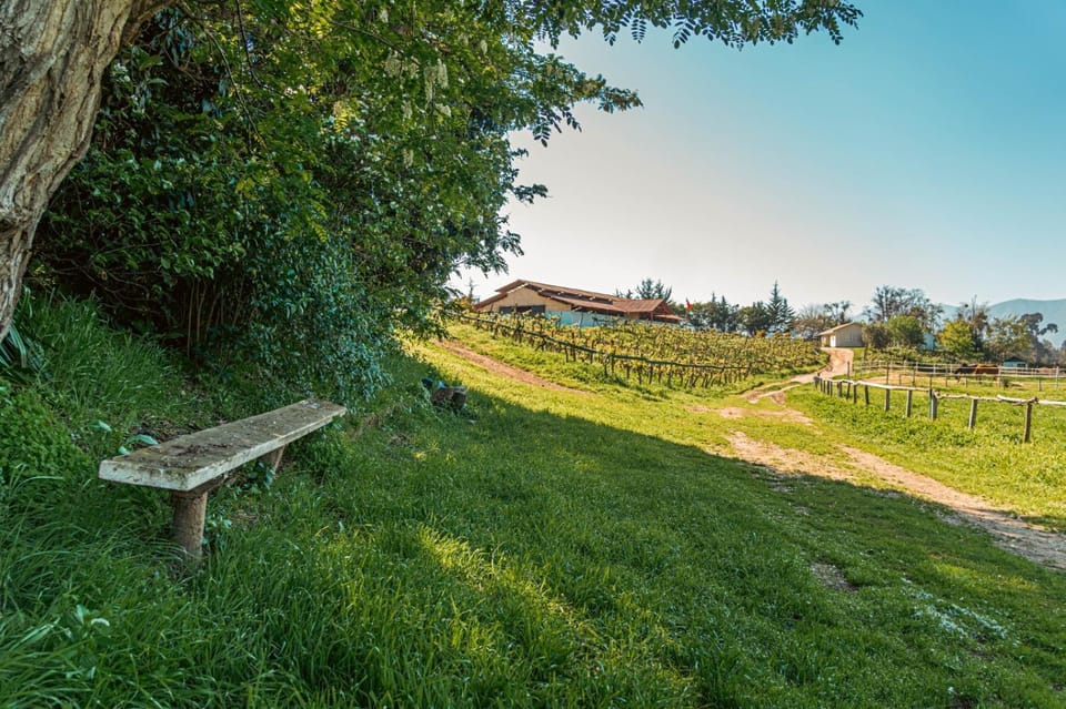 Day, Natural landscape, Garden, Garden view