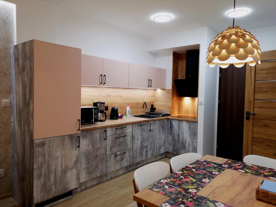 Coffee/tea facilities, Kitchen or kitchenette, Photo of the whole room, Dining area, dishwasher, internet, minibar, pet friendly, stove, toaster, kitchen