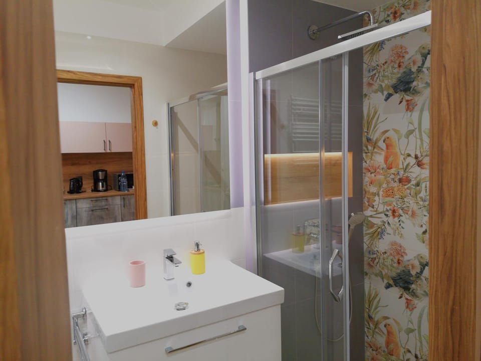 Shower, Toilet, Bathroom, heating, internet, towels, washing machine