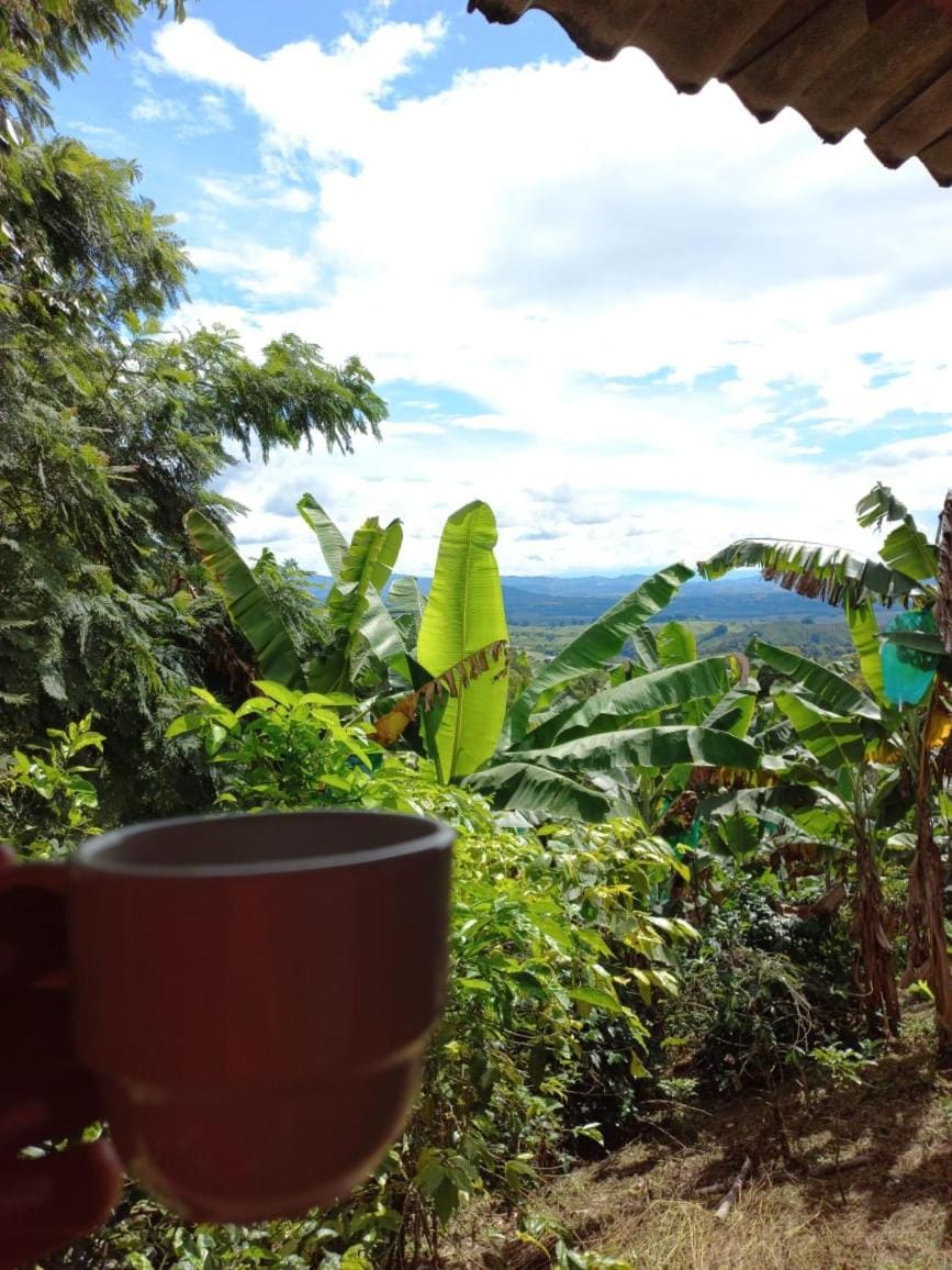Caficultur -Alojamiento Rural Country House in Quindio, Colombia