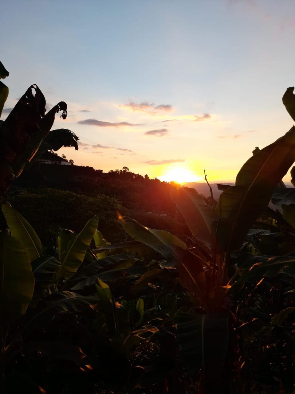 Caficultur -Alojamiento Rural Country House in Quindio, Colombia