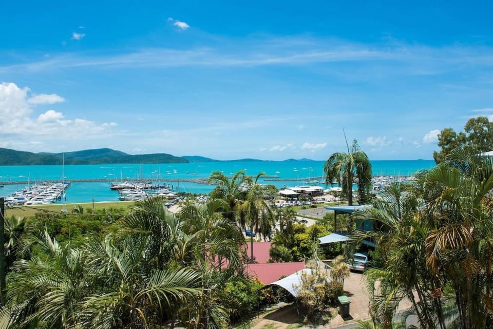 Beyond The Palms - Airlie Beach House in Airlie Beach