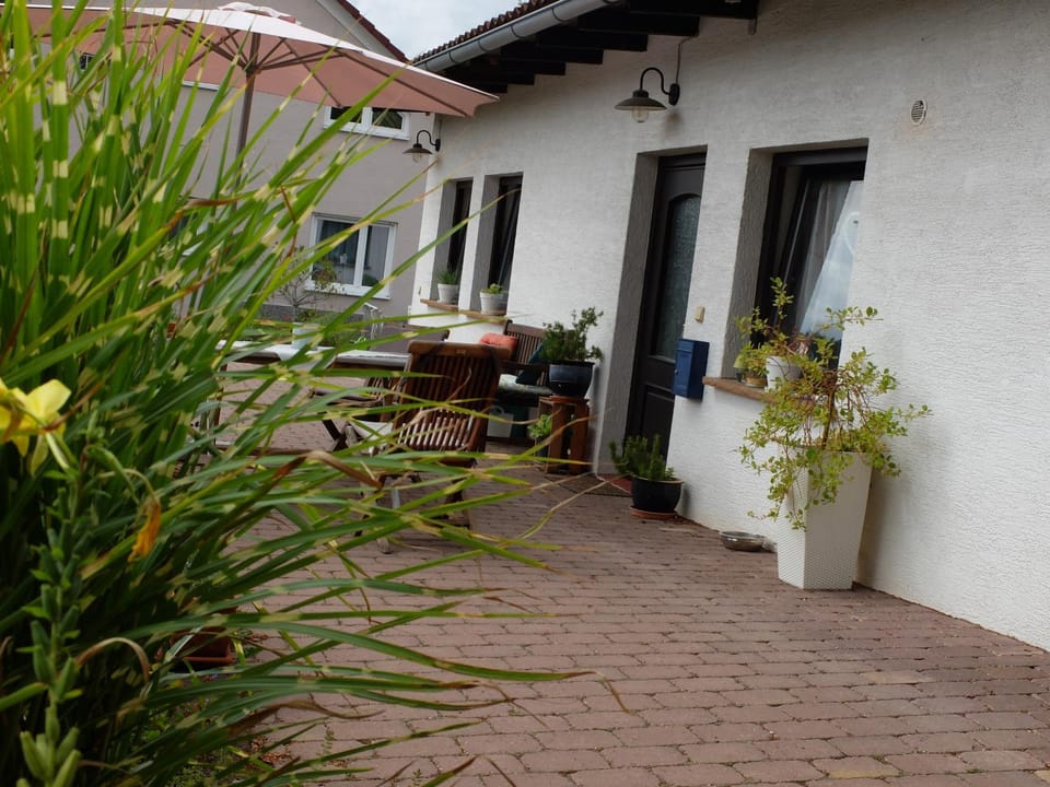 Patio, Facade/entrance