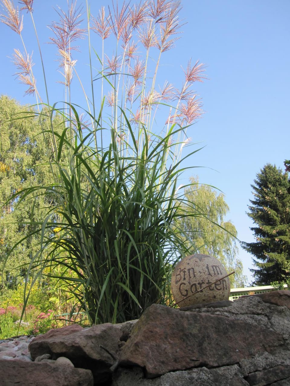 Natural landscape