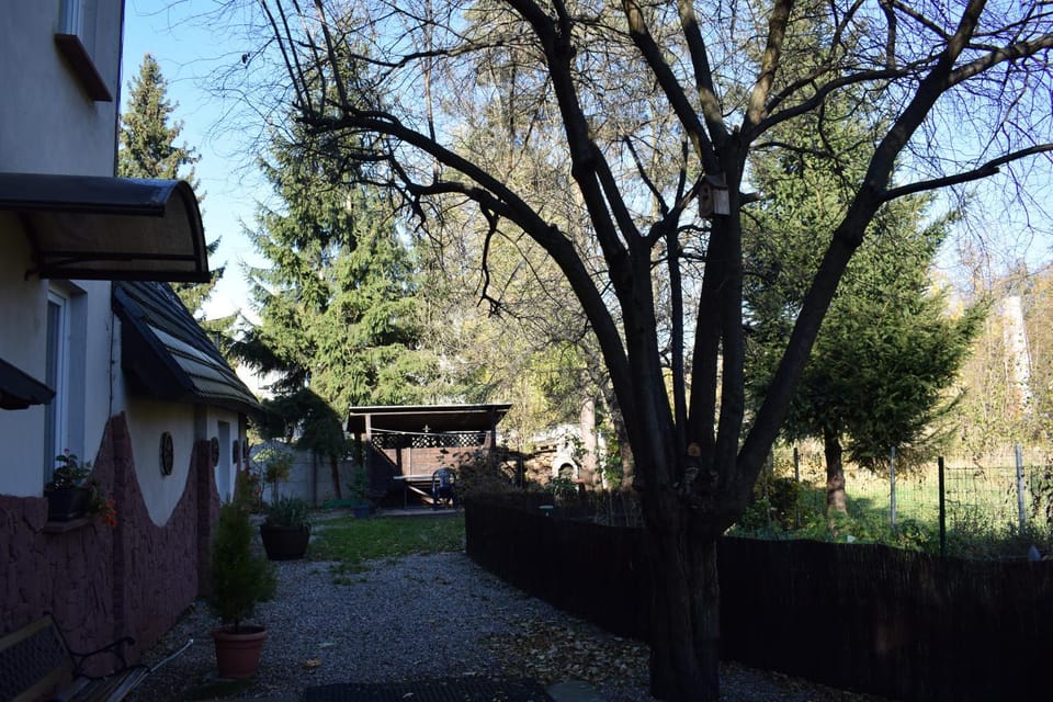 Day, Natural landscape, Garden, Garden view