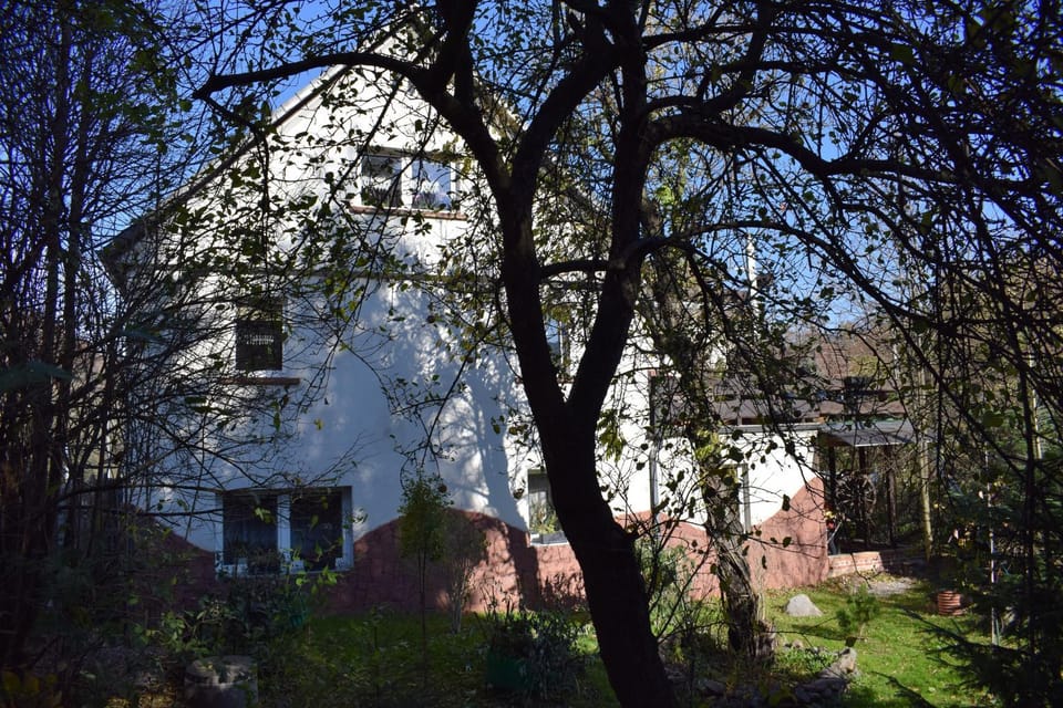Property building, Spring, Garden, Garden view