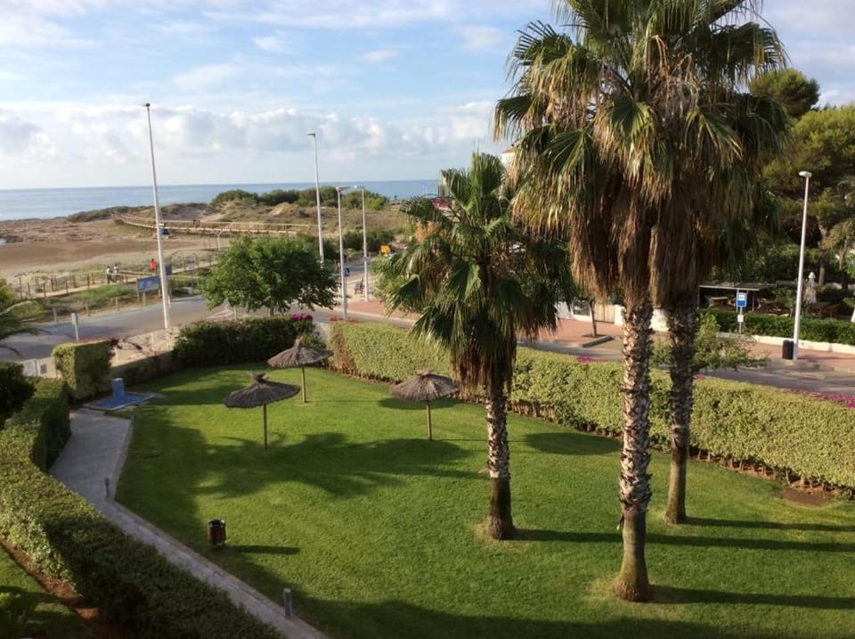 Garden view